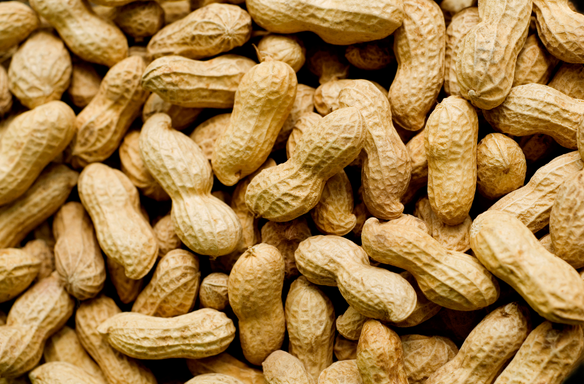 U.s. Peanuts Don't Belong In Haiti - Haiti Hub